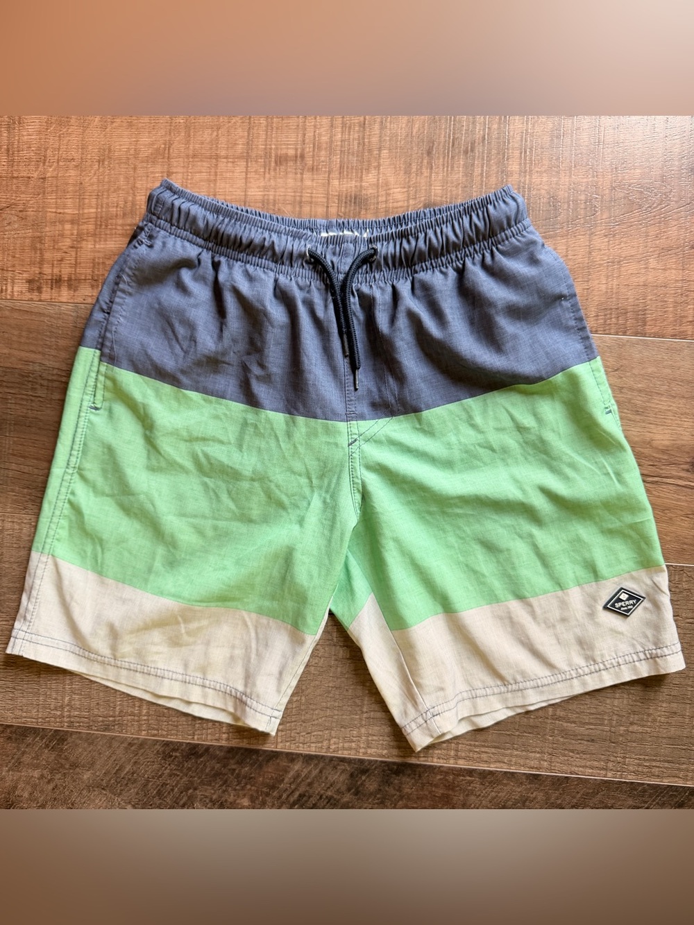 Sperry Colorblock Gray, Green & Cream Swim Shorts